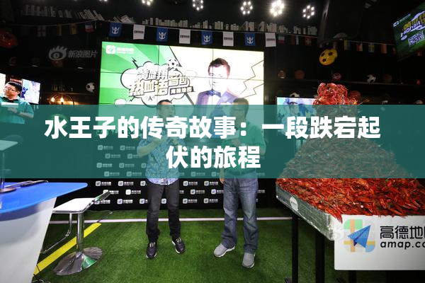 水王子的传奇故事：一段跌宕起伏的旅程