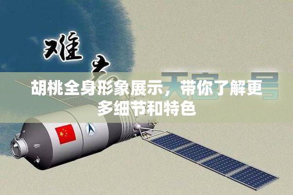 胡桃全身形象展示，带你了解更多细节和特色