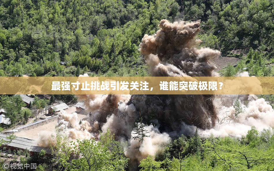 最强寸止挑战引发关注，谁能突破极限？