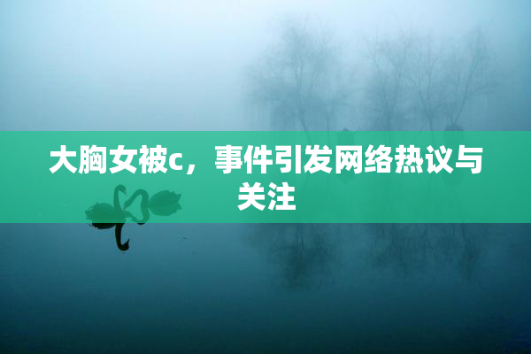 大胸女被c，事件引发网络热议与关注