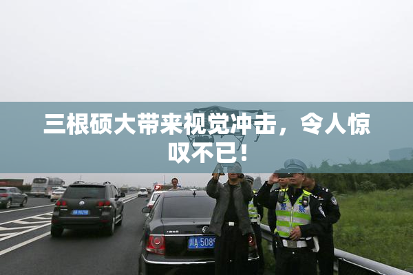 三根硕大带来视觉冲击，令人惊叹不已！