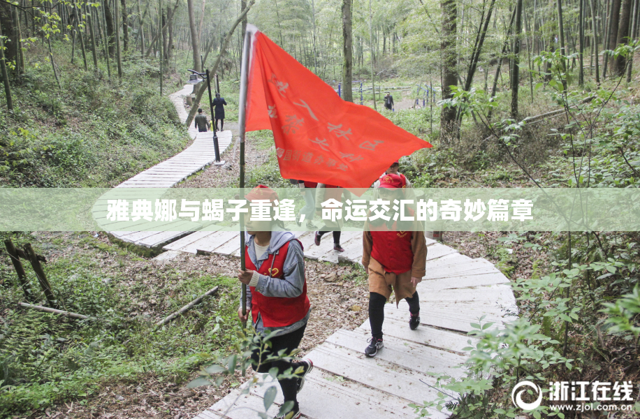 雅典娜与蝎子重逢，命运交汇的奇妙篇章
