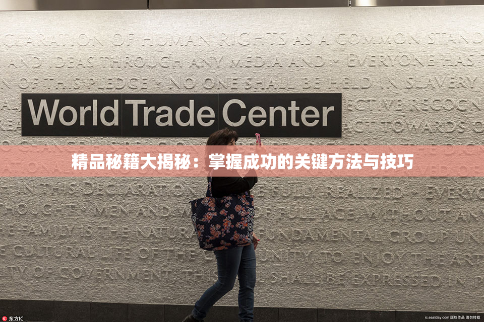 精品秘籍大揭秘：掌握成功的关键方法与技巧