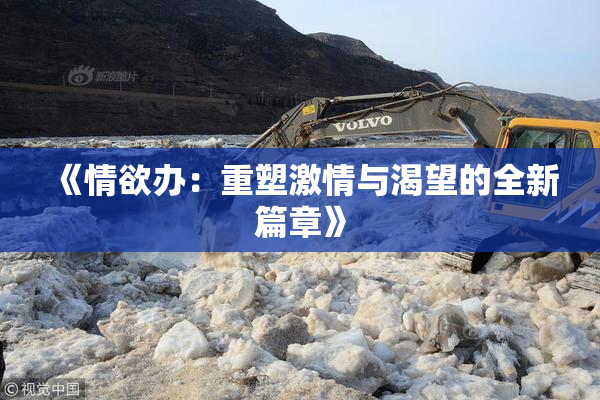 《情欲办：重塑激情与渴望的全新篇章》