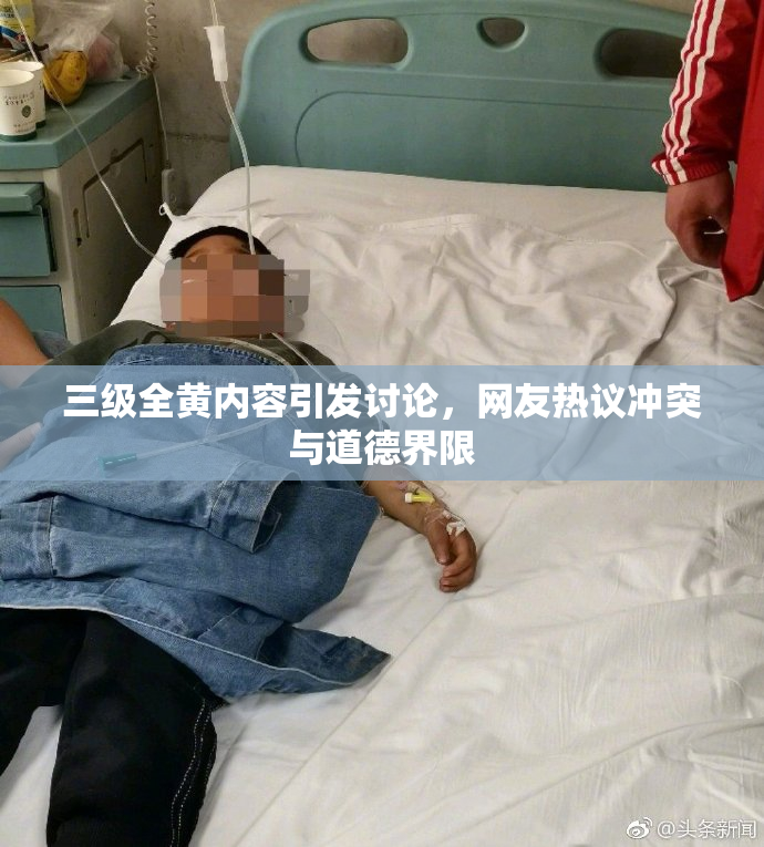 三级全黄内容引发讨论，网友热议冲突与道德界限