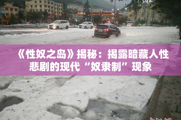 《性奴之岛》揭秘：揭露暗藏人性悲剧的现代“奴隶制”现象