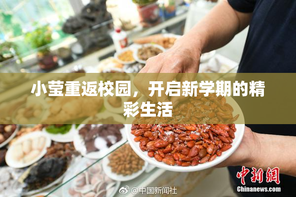 小莹重返校园，开启新学期的精彩生活