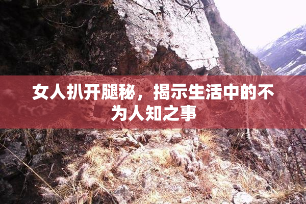 女人扒开腿秘，揭示生活中的不为人知之事