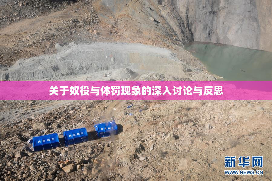 关于奴役与体罚现象的深入讨论与反思