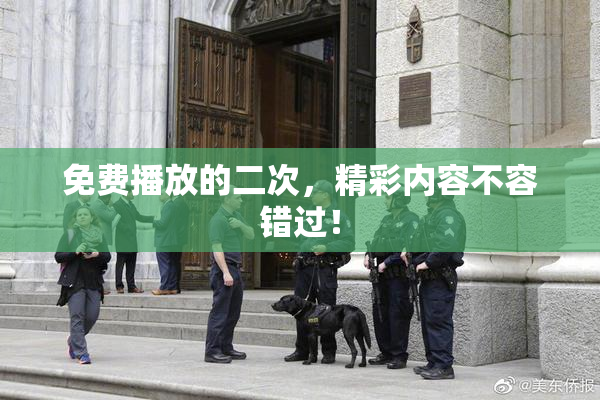 免费播放的二次，精彩内容不容错过！