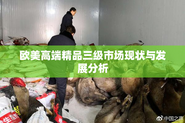欧美高端精品三级市场现状与发展分析