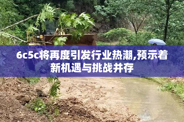 6c5c将再度引发行业热潮,预示着新机遇与挑战并存