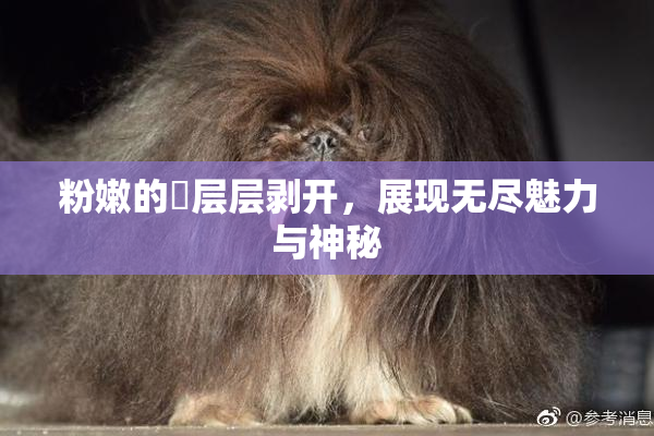 粉嫩的泬层层剥开，展现无尽魅力与神秘