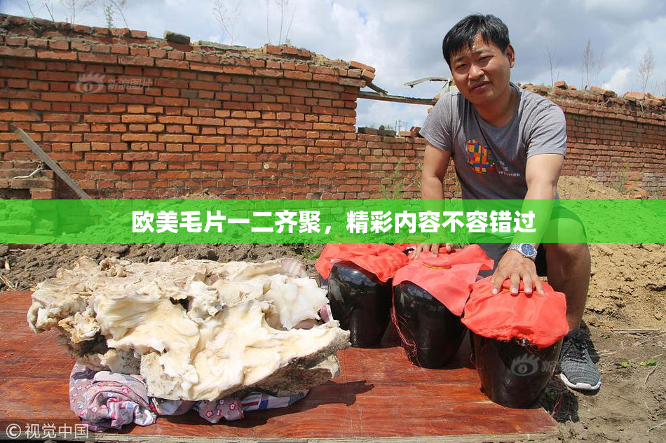 欧美毛片一二齐聚，精彩内容不容错过