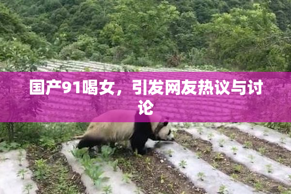 国产91喝女，引发网友热议与讨论