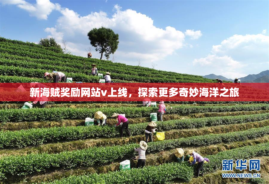 新海贼奖励网站v上线，探索更多奇妙海洋之旅