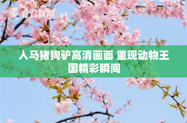 人马猪狗驴高清画面 重现动物王国精彩瞬间