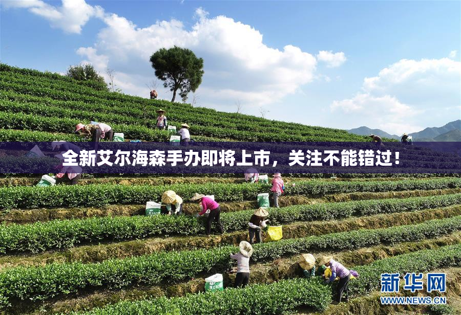 全新艾尔海森手办即将上市，关注不能错过！