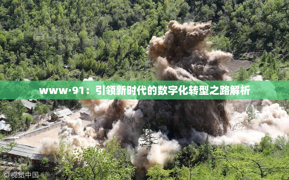www·91：引领新时代的数字化转型之路解析