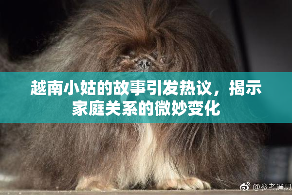 越南小姑的故事引发热议，揭示家庭关系的微妙变化