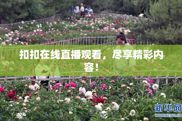 扣扣在线直播观看，尽享精彩内容！