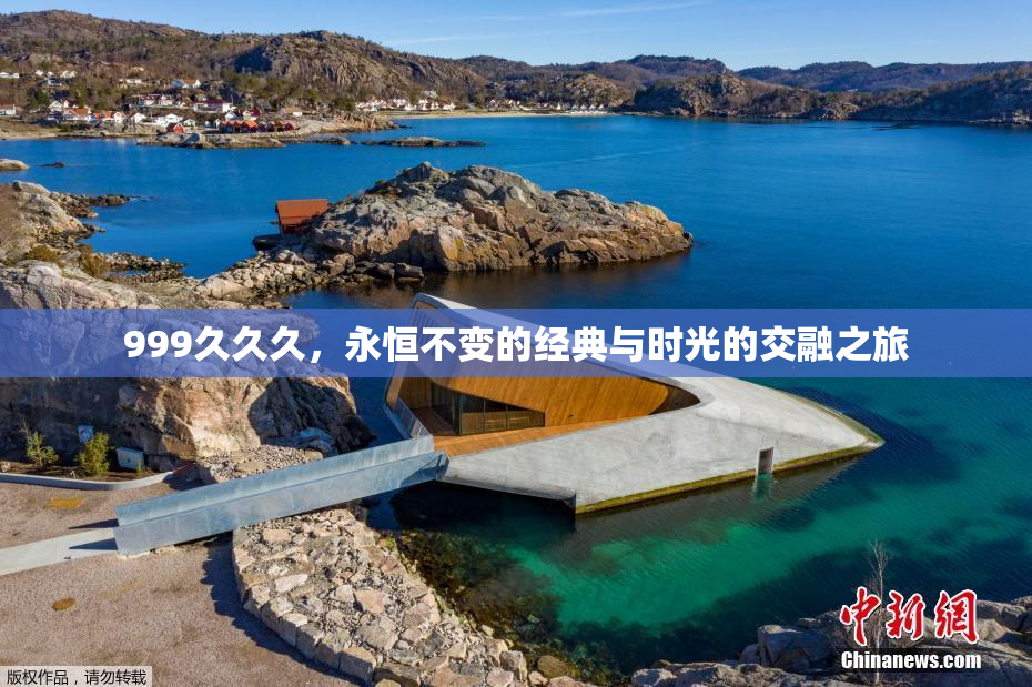 999久久久，永恒不变的经典与时光的交融之旅
