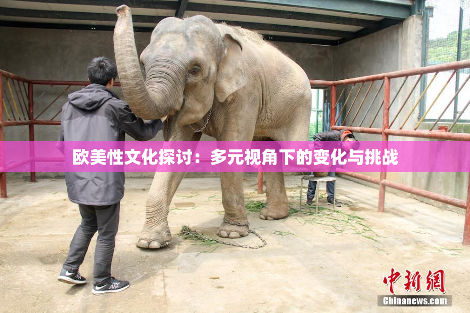 欧美性文化探讨：多元视角下的变化与挑战