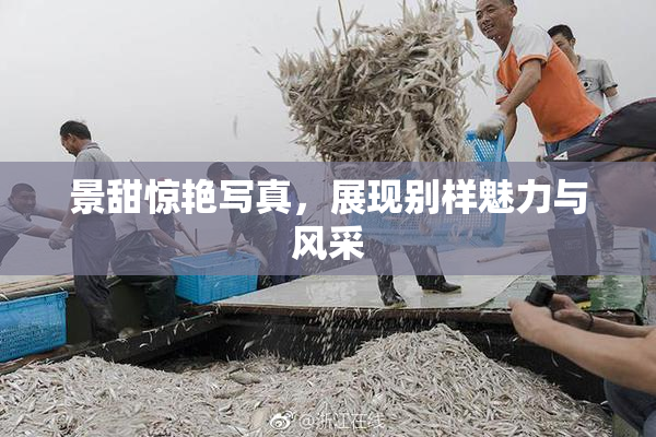 景甜惊艳写真，展现别样魅力与风采