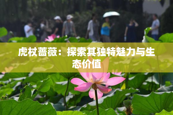 虎杖蔷薇：探索其独特魅力与生态价值