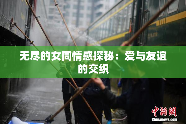 无尽的女同情感探秘：爱与友谊的交织