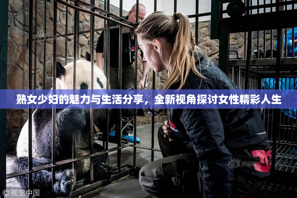 熟女少妇的魅力与生活分享，全新视角探讨女性精彩人生