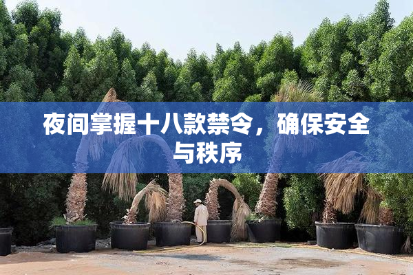 夜间掌握十八款禁令，确保安全与秩序
