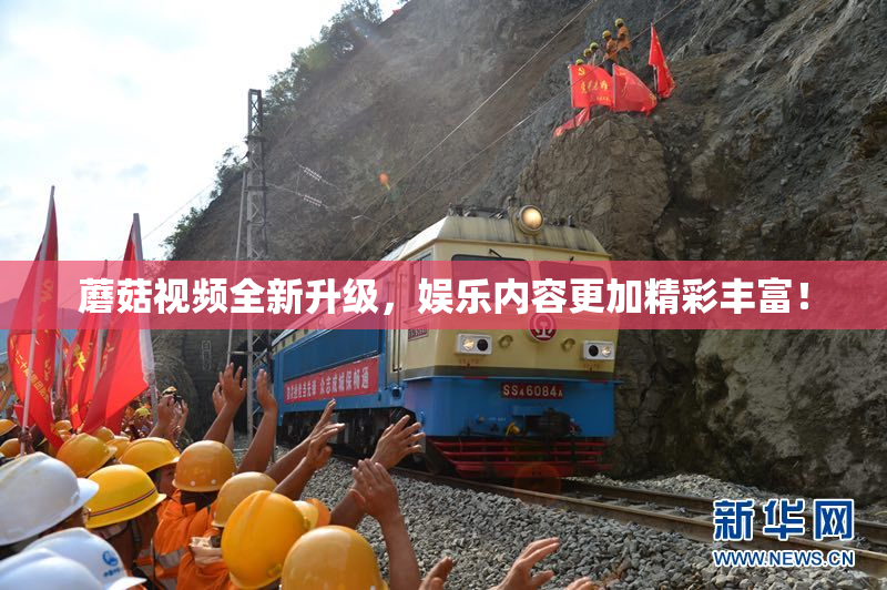 蘑菇视频全新升级，娱乐内容更加精彩丰富！