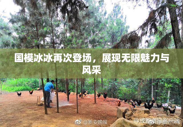 国模冰冰再次登场，展现无限魅力与风采