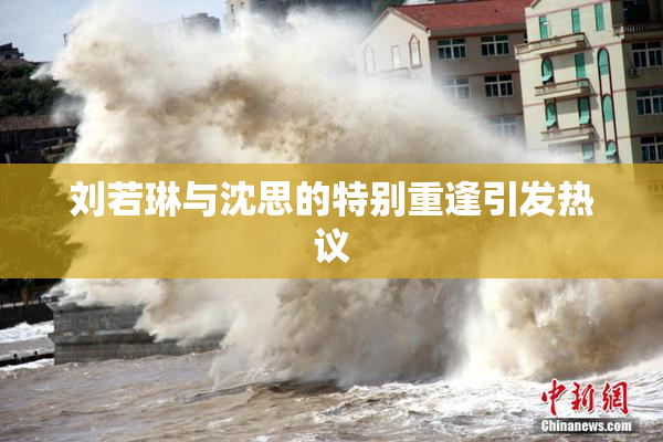 刘若琳与沈思的特别重逢引发热议