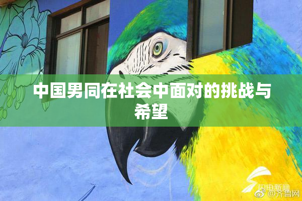 中国男同在社会中面对的挑战与希望