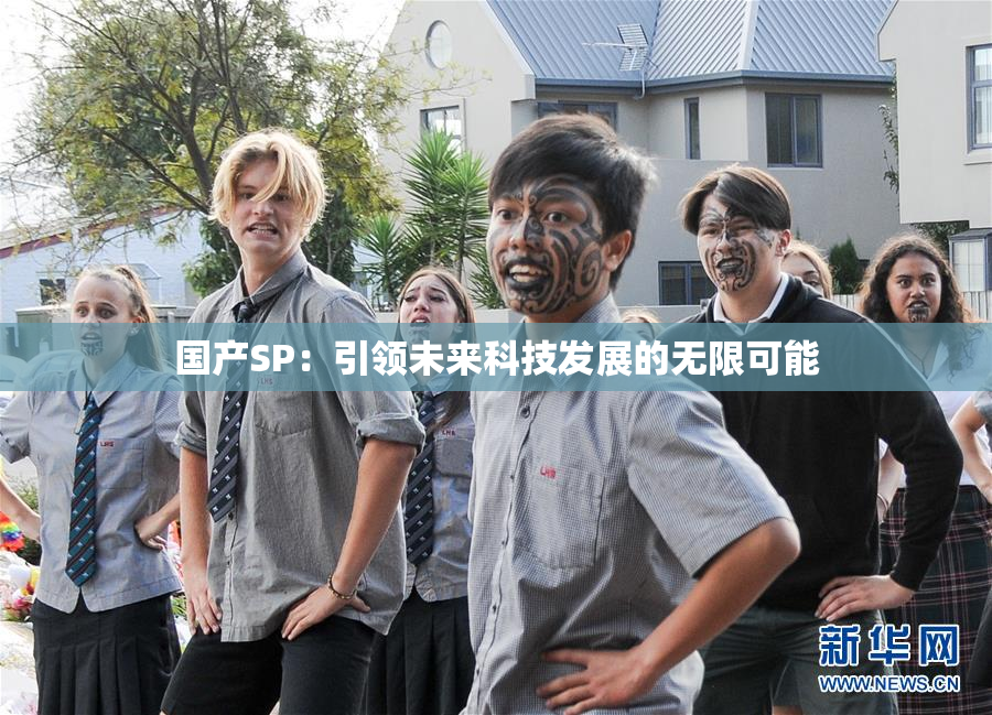 国产SP：引领未来科技发展的无限可能