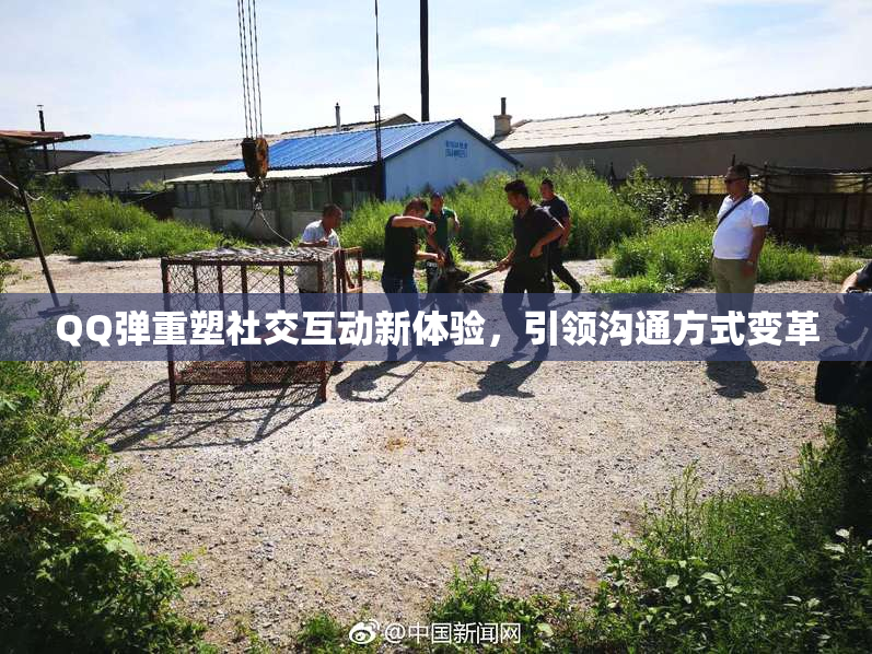 QQ弹重塑社交互动新体验，引领沟通方式变革