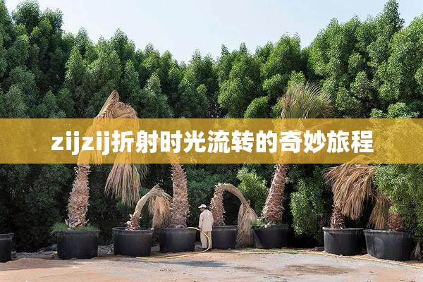 zijzij折射时光流转的奇妙旅程