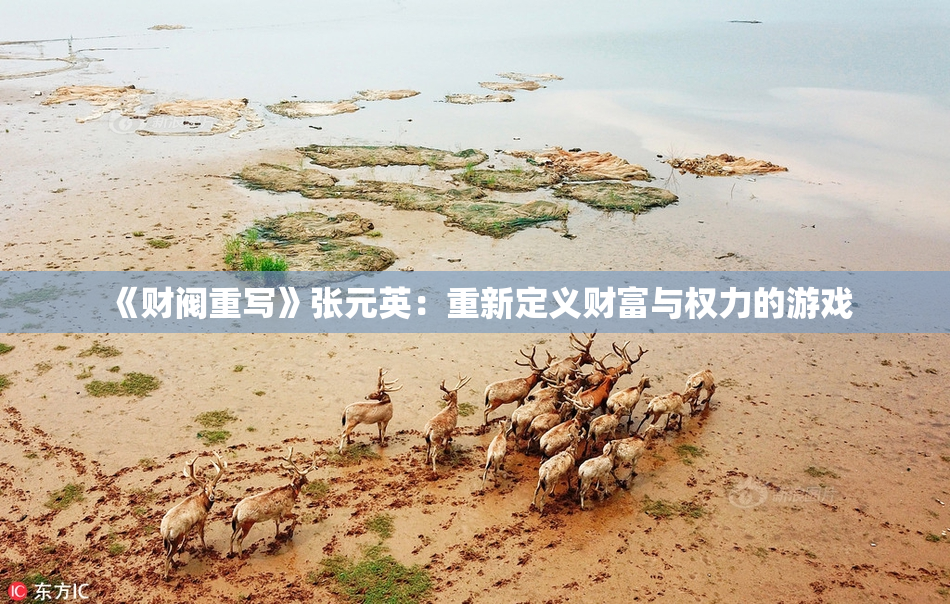 《财阀重写》张元英：重新定义财富与权力的游戏