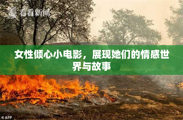 女性倾心小电影，展现她们的情感世界与故事