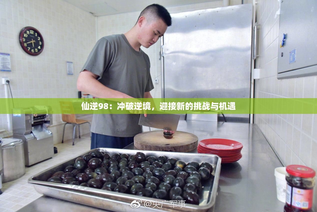 仙逆98：冲破逆境，迎接新的挑战与机遇