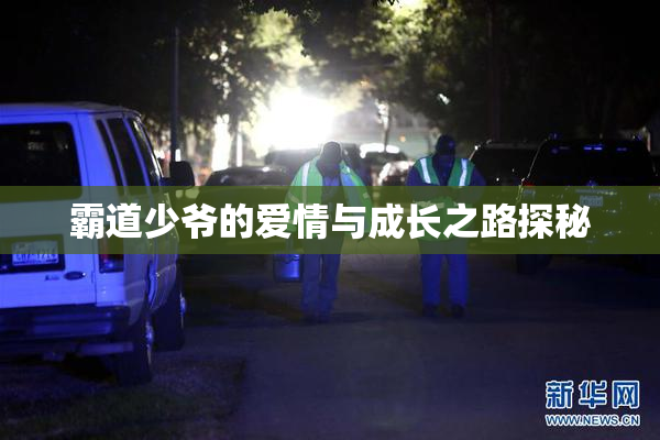 霸道少爷的爱情与成长之路探秘