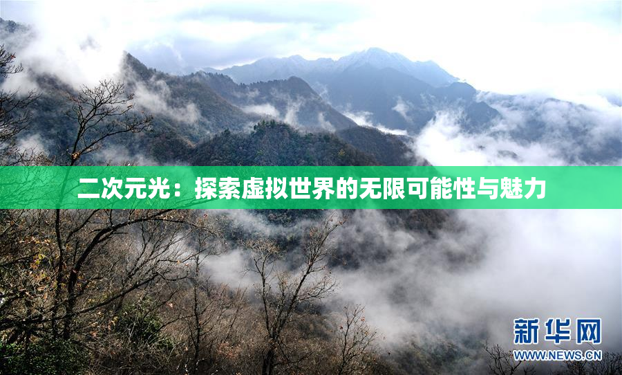 二次元光：探索虚拟世界的无限可能性与魅力