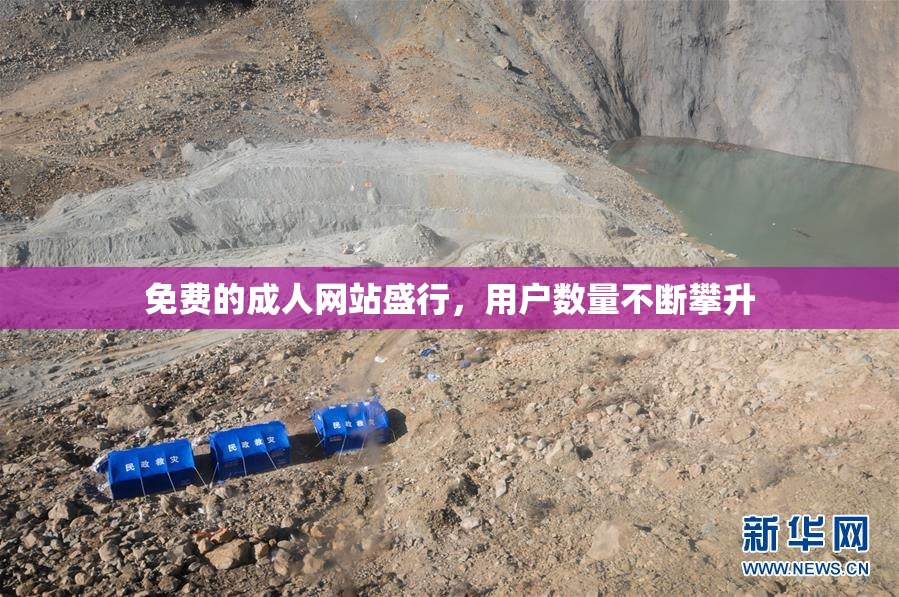 免费的成人网站盛行，用户数量不断攀升