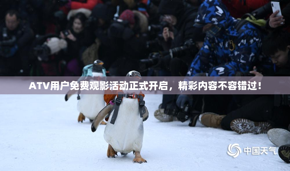 ATV用户免费观影活动正式开启，精彩内容不容错过！
