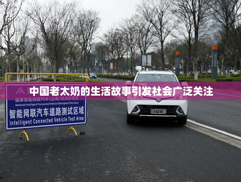 中国老太奶的生活故事引发社会广泛关注