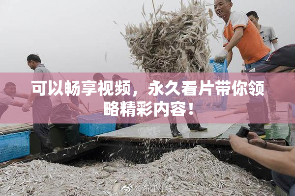 可以畅享视频，永久看片带你领略精彩内容！
