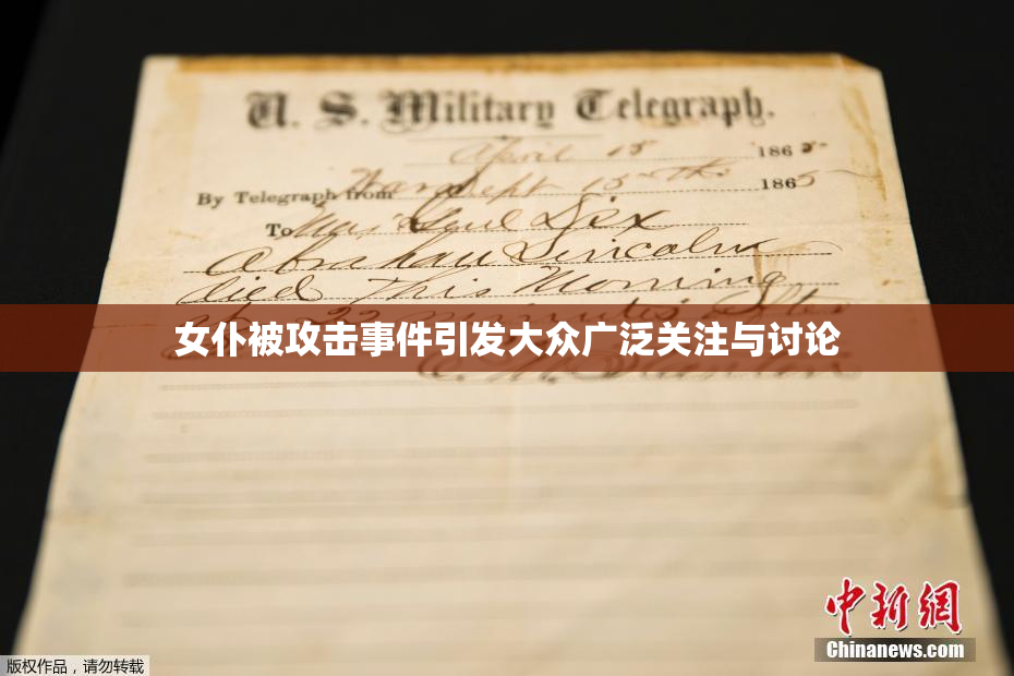 女仆被攻击事件引发大众广泛关注与讨论