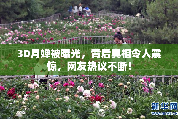 3D月婵被曝光，背后真相令人震惊，网友热议不断！